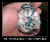 ������� ������ ��������: �������� ����� ���� �� ����� �� ������ ������� ��������