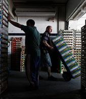 ������ �������� ������� �� ���������� ������ ����� 10 ���� ����� ������������� �������� � ��