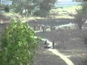 �������� �����: ��� ������ �� ������������� � ��������� (�����)