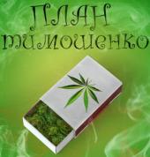 ���� ���������