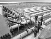 �������� "�������� ������" ������ ��������� �� 19 ���� ���. ������