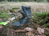 ������ ������� - ���� ����! �������� ������� ����������-���������� ������ ������-2009�