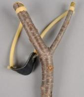 ��������� ��������: ���� � ��������: ������ ���������