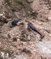 ���: � ������������ ��� �������� ������� ������������� ����������� �����