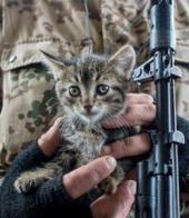 �������� ������: ������� ��� ������� � ��������