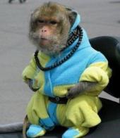 �������� ������: ������� ��� ����-���������