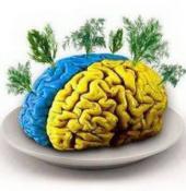 �������� ������: �������� � ��������� ��������