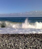 ��������� ��������: ��� ������ ������� ��������