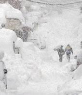 ��������� ��������: ��������� ����