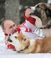 ��������� ��������: ������ ���������� �� ������