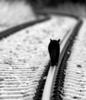 ������ �������: ������� ���������� � �������: ����� �� ������������...