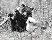 �������, �� ���� �����