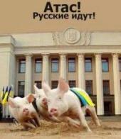 �������� ������: ������ ��������������� ������������