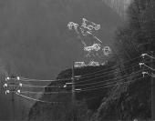 ������ �������� ������� ����� �� ������ ���