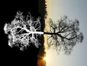 �������: ������ � ����� 2015 �