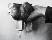 ������-��������� � ������-��������� - ����������� ����� ������� ������������� �����