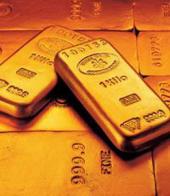 ������������� ������� ������� ����������� �� 11-������� ��������