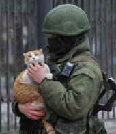 ��������� ��������: #���������