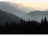 ���������� � �������� �������� ��� ���������� ������ � �����