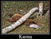 ����� ���������� ���������