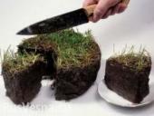 ������� ���������: ��������� ��������� � ������� ���������� �������������