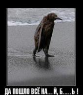 ��������� ��������: "���������": ����� ������������ � ���������