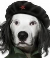 ��������� ��������: ����� �������