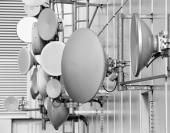 �����: ������� � ��� ����������� ������ ������� � ����������