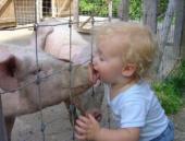 ������� ��������: ������������ ������ � ������...