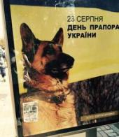 �������� ������