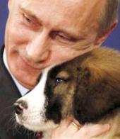 ����� ������������ ������� ������