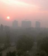 ��������� ��������: ����: �����-�����������