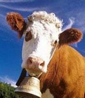 ��������� ��������: ������� �������� �������� �����