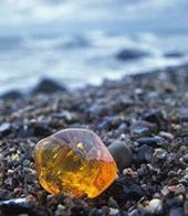 ��������� ��������: �������� �������