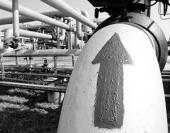 �� ��������� ���� �� ������� ����� ���������� ����������