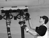 ���� ��������� ����������� �����������