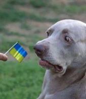 �������� ������: ��������� ����������� �����...