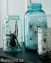 ������ �������� ������������ ��������� ������ - "������ � �����"