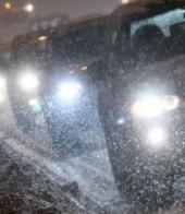 ��������� ��������: ��� �����������: ���������� ����� ����