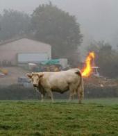 ������: "��������" � ��������� "�����"