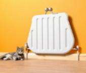 ������: ������ � ������ ������ ����� ��������