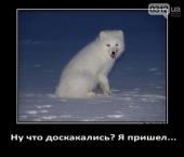 ������ ������ ������ ���� ������, ��� ���������� ������ ��� ���������� ����