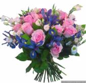 ������������ � ���� ��������!