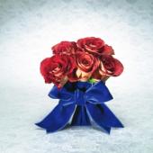 �����������!!!