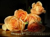 � ���� ��������, ������� ������� ���������� !!!