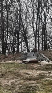 ��� ����� ��������� �������� ���� �� ����� ������ ����� ������