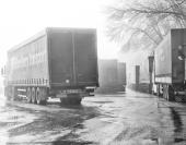 ������ � ������� �������� "�������� ������"