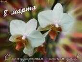 ������������ � ������������� ������� ���� 8 �����