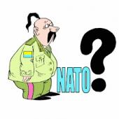 ������� ����������� ���� � ������� �� ��� ��������