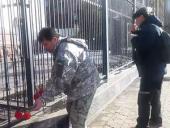 ��������� ��� ������ ����� � ���������� ������ � �����, ������ ������ �������� �������